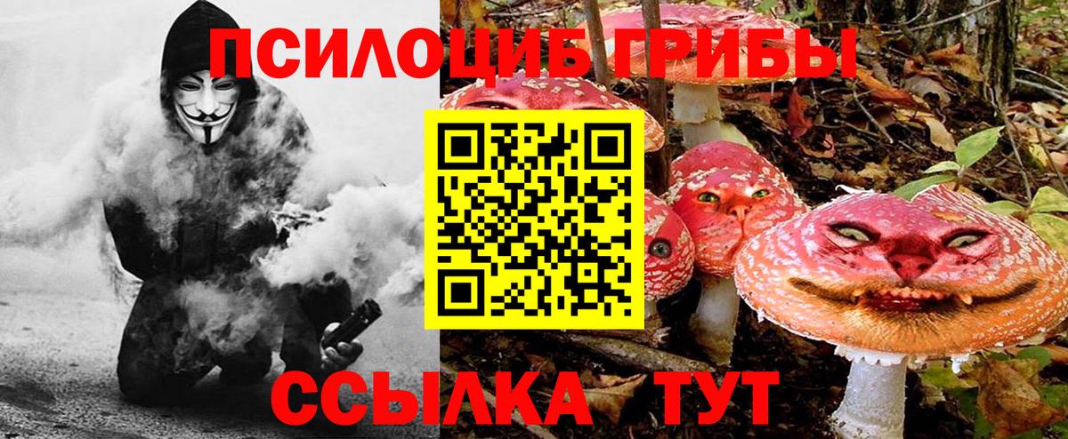 Псилоцибиновые грибы мицелий Артём