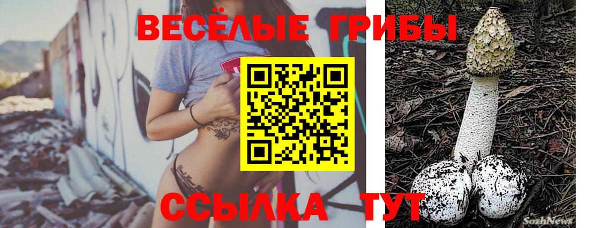 Псилоцибиновые грибы мухоморы Артём