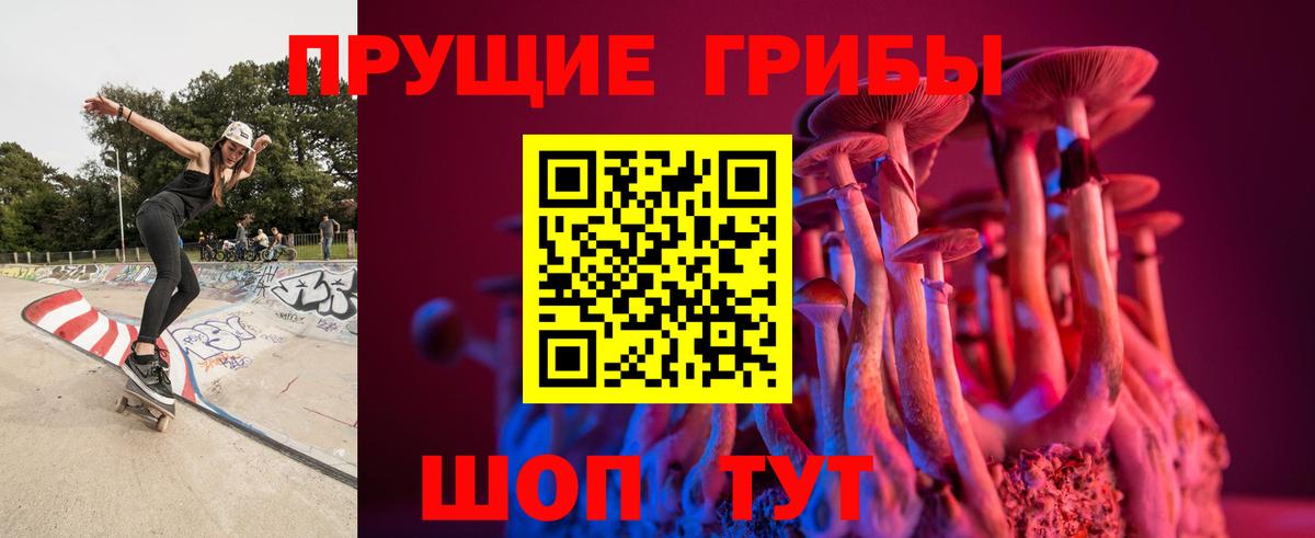 Галлюциногенные грибы Psilocybe  Псилоцибиновые грибы Psilocybine cubensis  Артём 