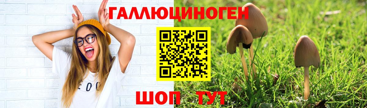 Артём  Псилоцибиновые грибы мухоморы  Вход с VPN  Псилоцибиновые грибы мицелий 