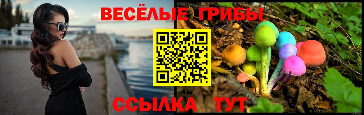 Гашиш  APVP СОЛЬ   ЭКСТАЗИ  LSD-25  Бошки Шишки  Cocaine  Артём  Вход с VPN  Меф МЯУ МЯУ кристаллы 